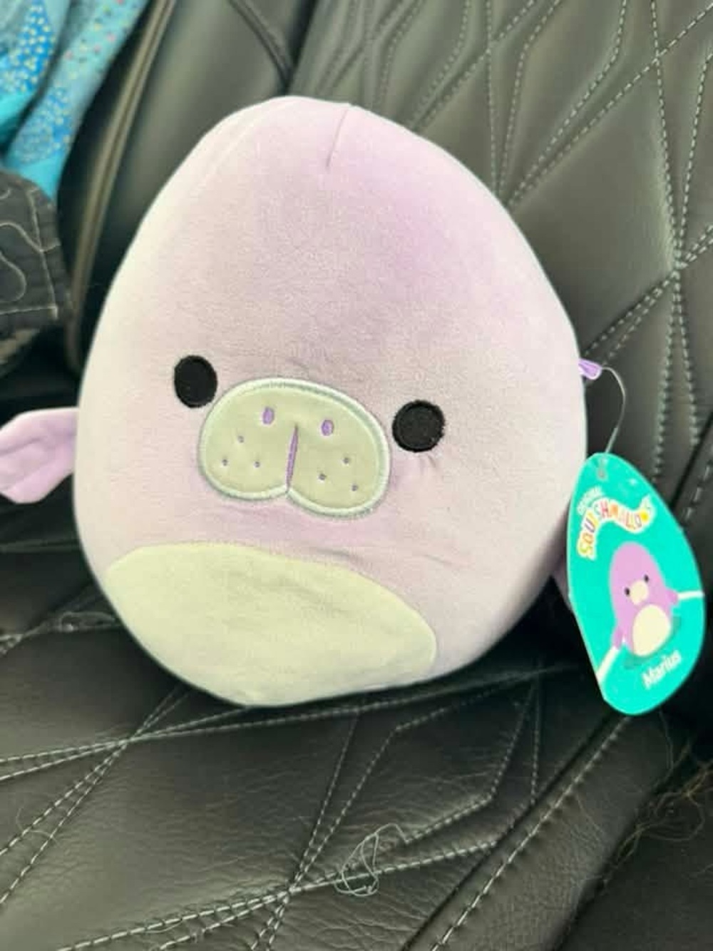 NWT Squishmallow